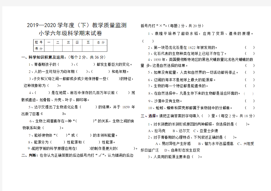 苏教版小学科学六年级下册科学试题期末测试题