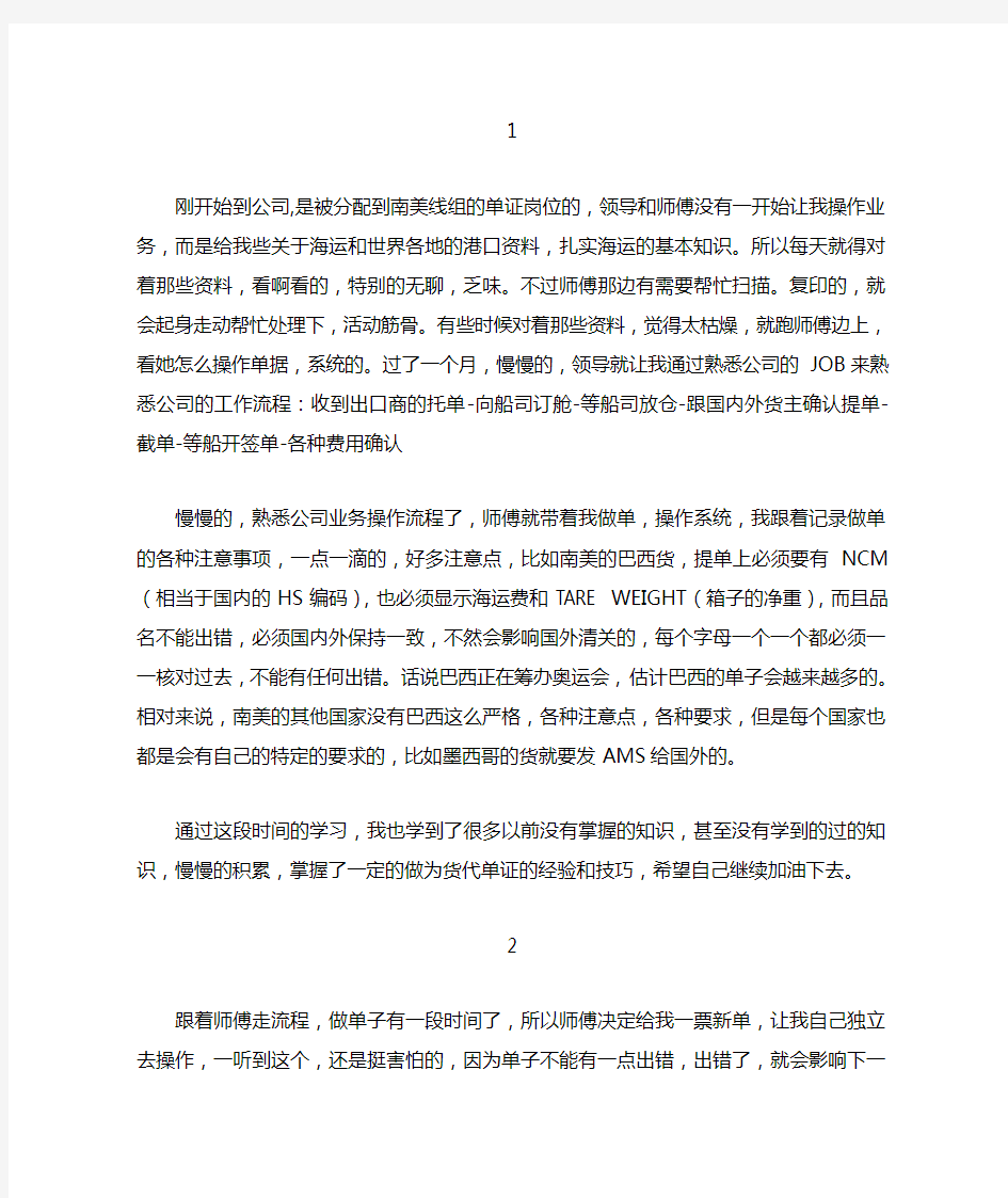 货代单证 实习报告