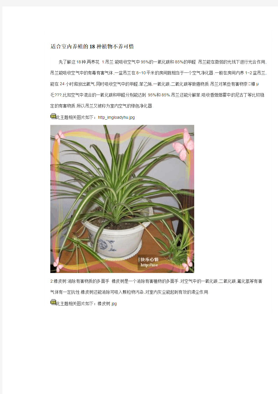 适合室内养殖的18种植物不养可惜