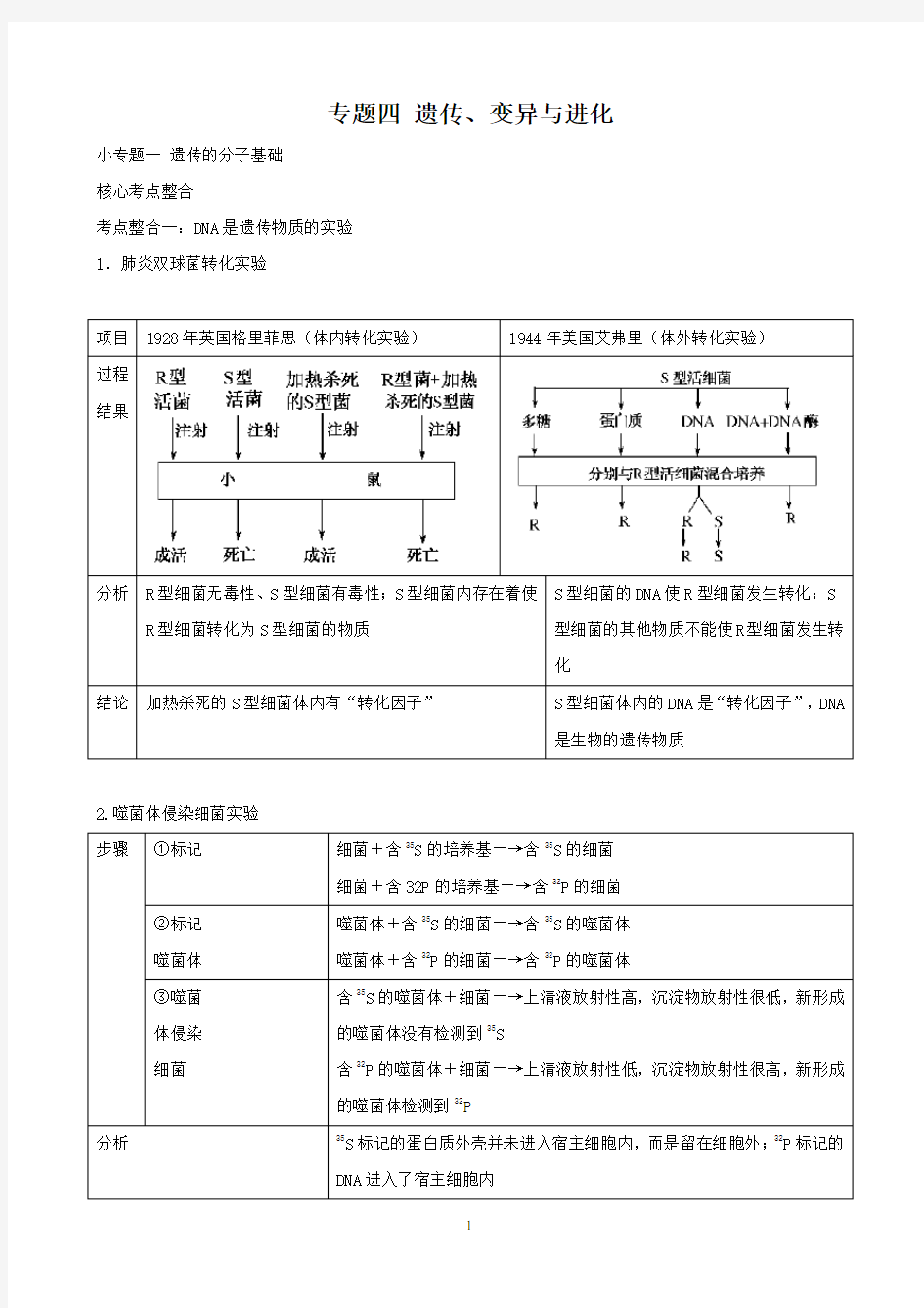 高三生物复习学案：专题4 遗传、变异与进化1 遗传的分子基础