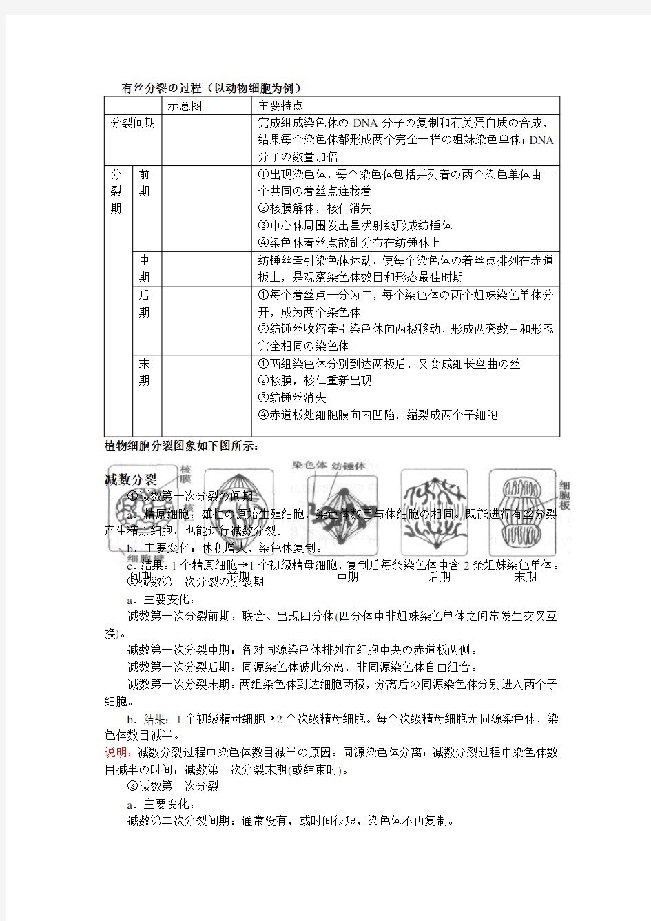 有丝分裂和减数分裂的过程和图像