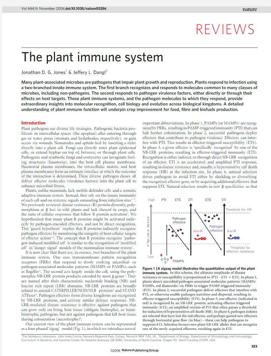 The plant immune system植物免疫系统