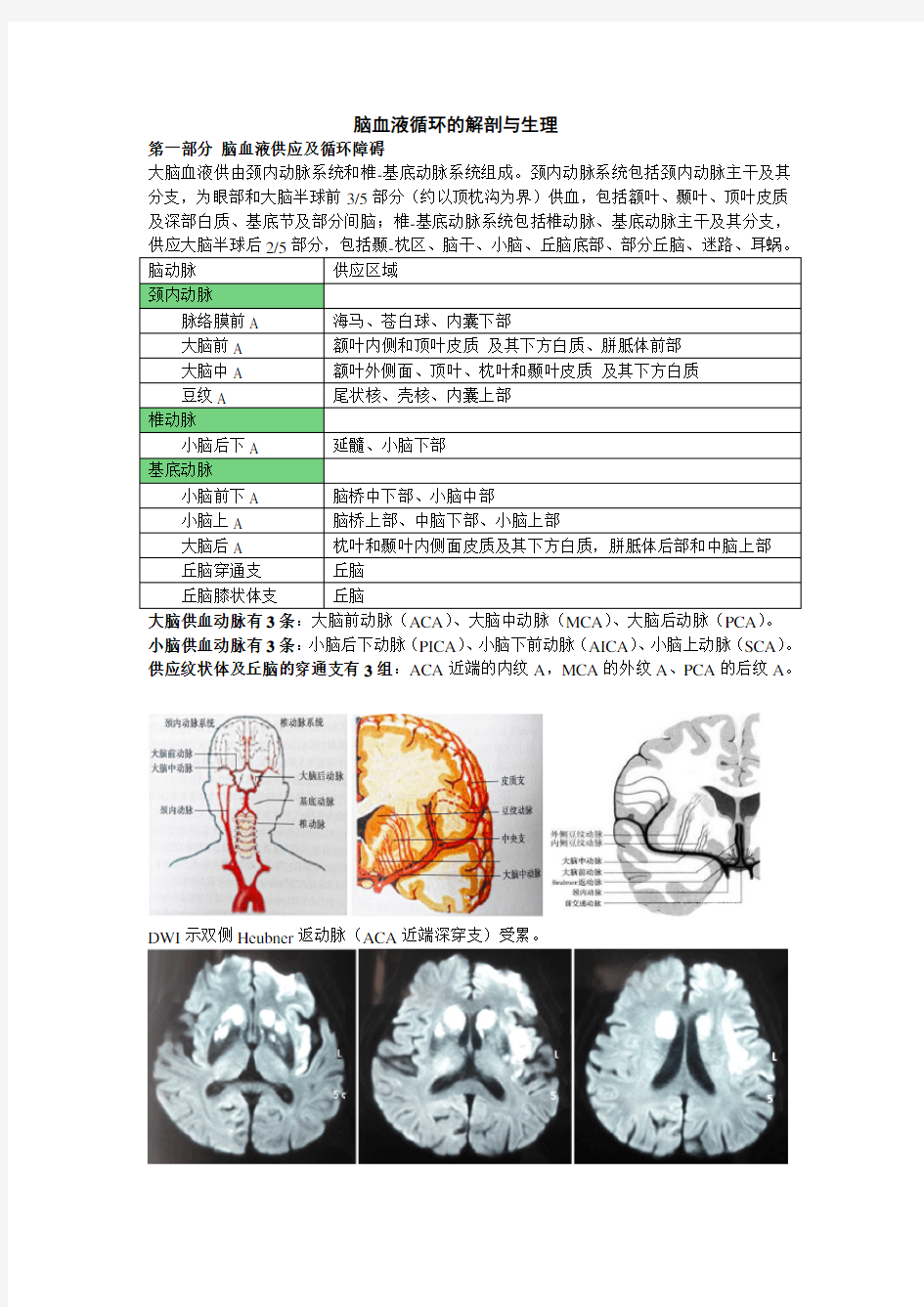 脑血液循环的解剖与生理