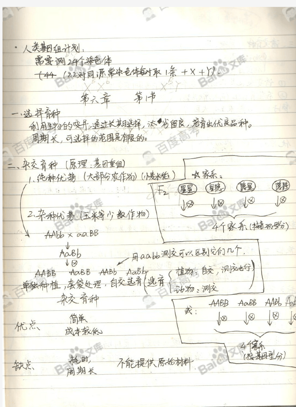 高中生物课堂笔记_必修二_第六章 从杂交育种到基因工程_西北师大附中理科学霸_2016高考状元笔记