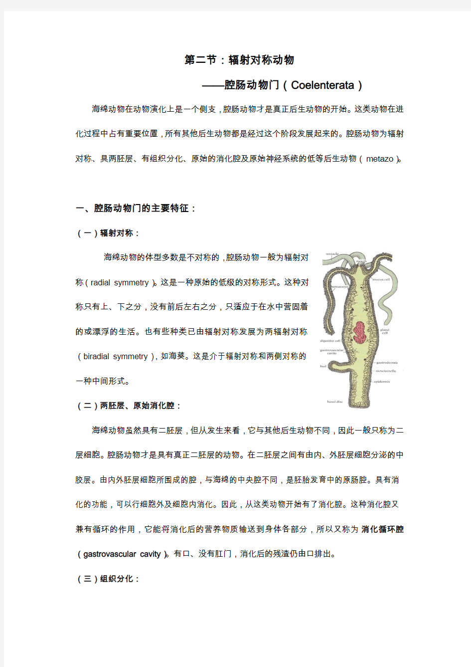 腔肠动物门