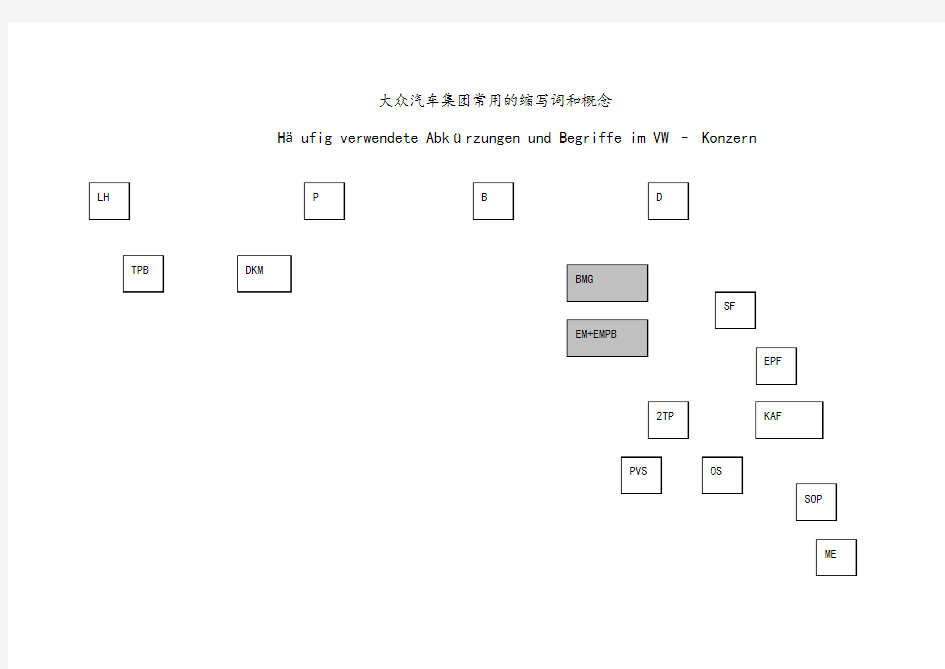 大众汽车集团常用的缩写词和概念