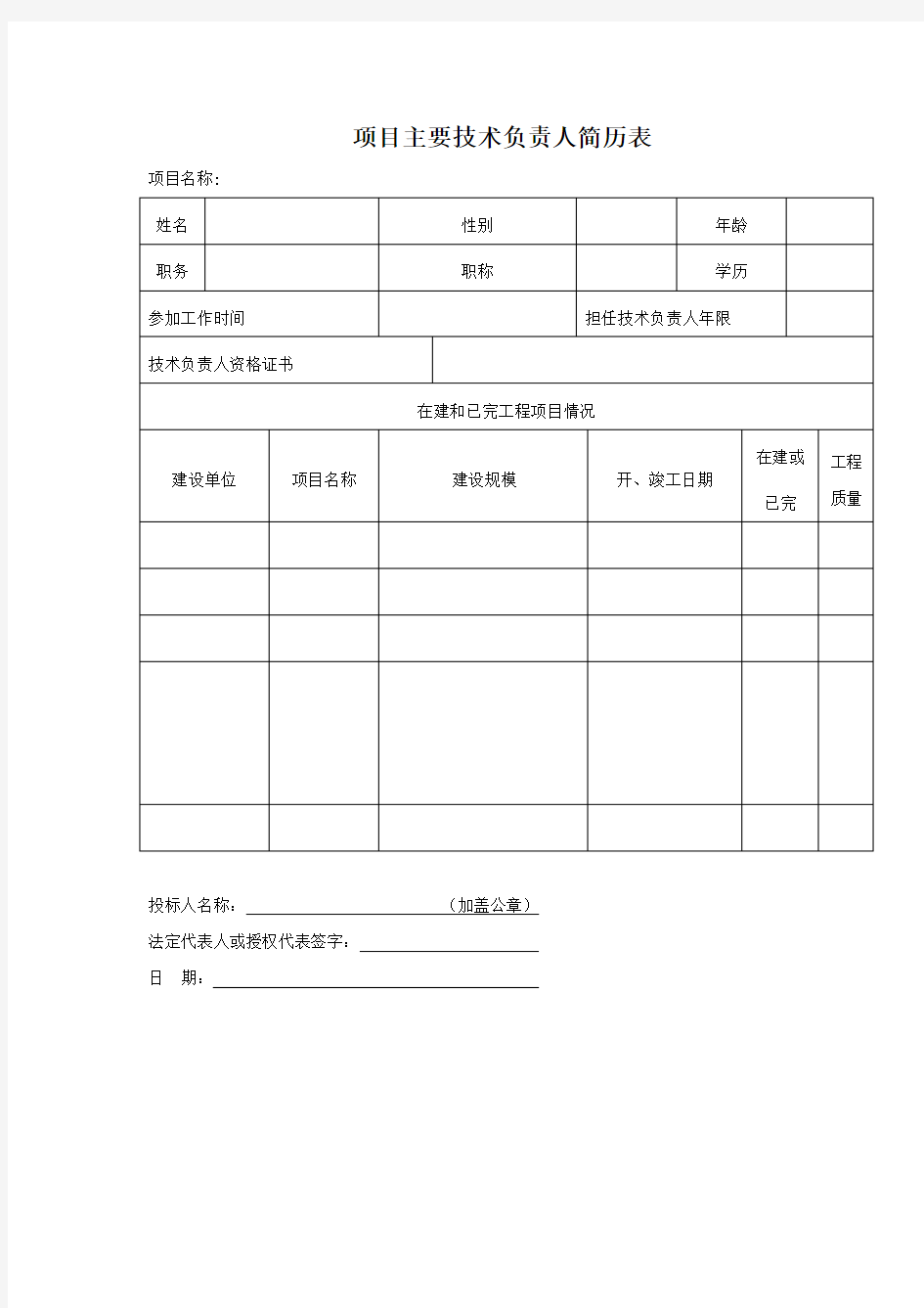 项目主要技术负责人简历表