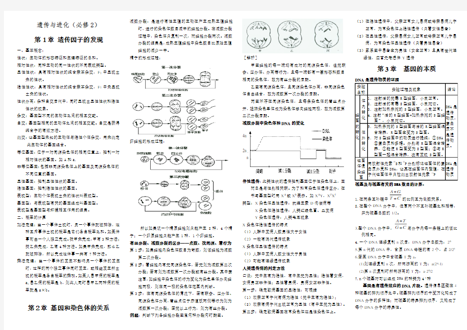 遗传与进化知识点总结