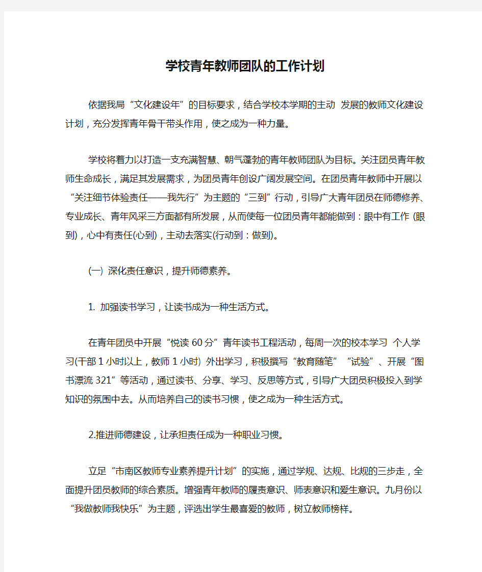 2020年学校青年教师团队的工作计划