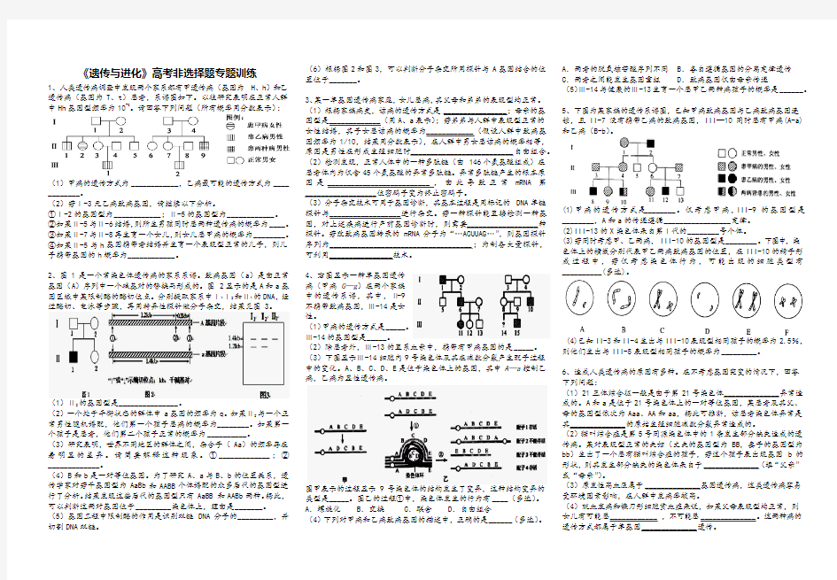 高中生物《遗传与进化》高考非选择题专题训练