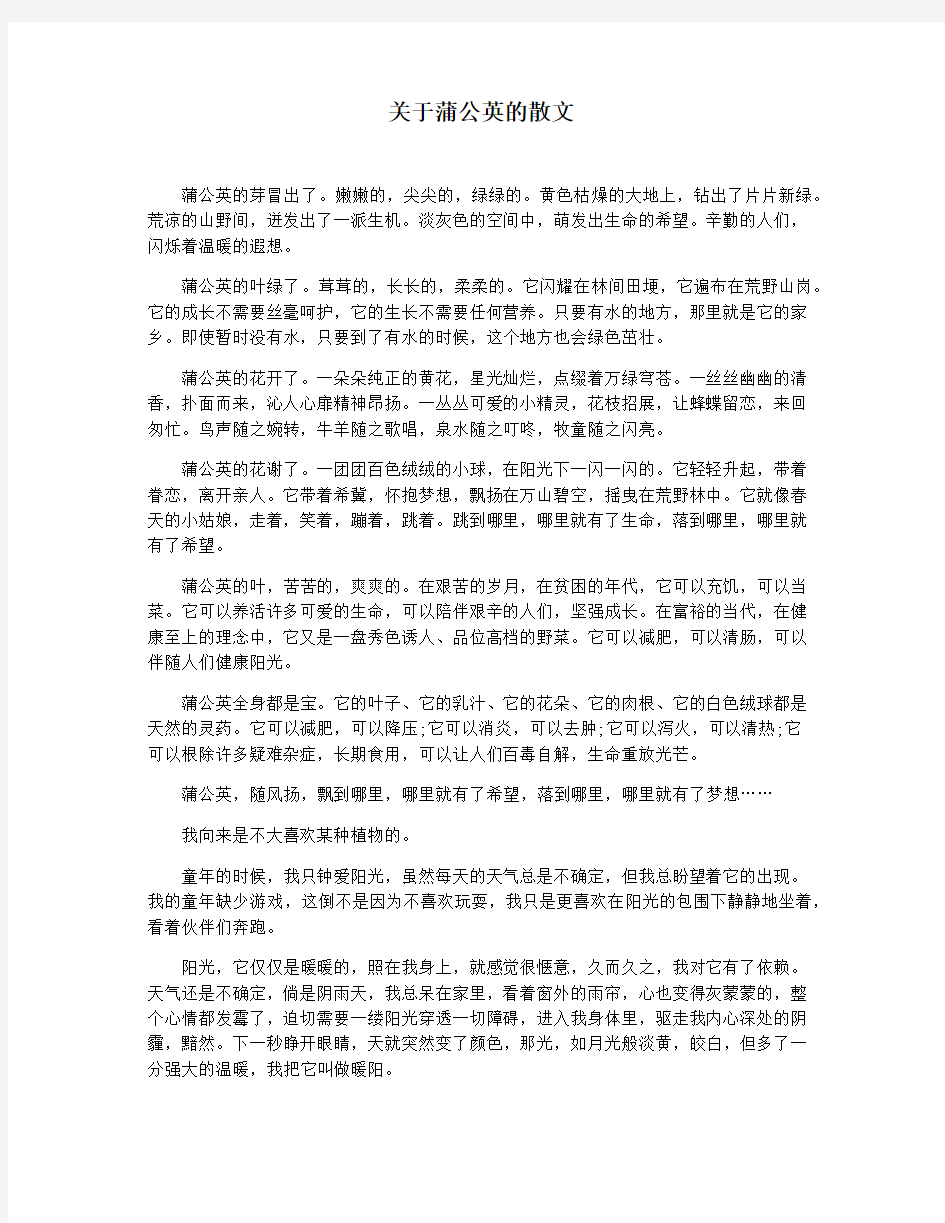 关于蒲公英的散文