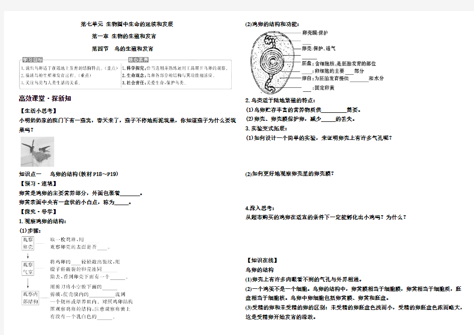 人教版八年级生物下册 学案设计  7.1.4 鸟的生殖和发育--含答案