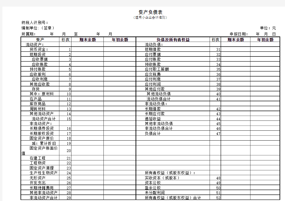 2013版空白财务报表