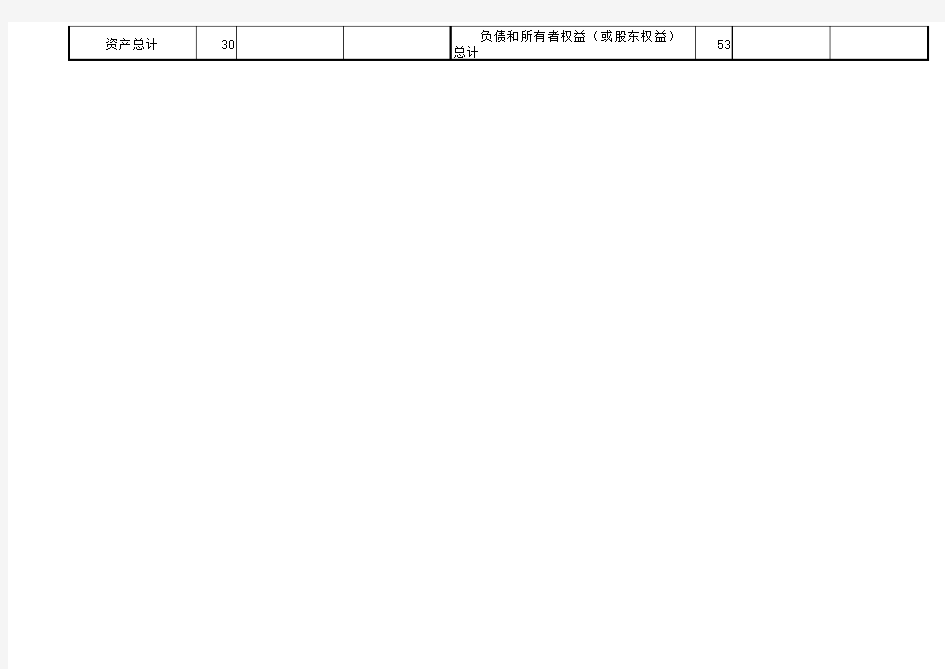 2013版空白财务报表