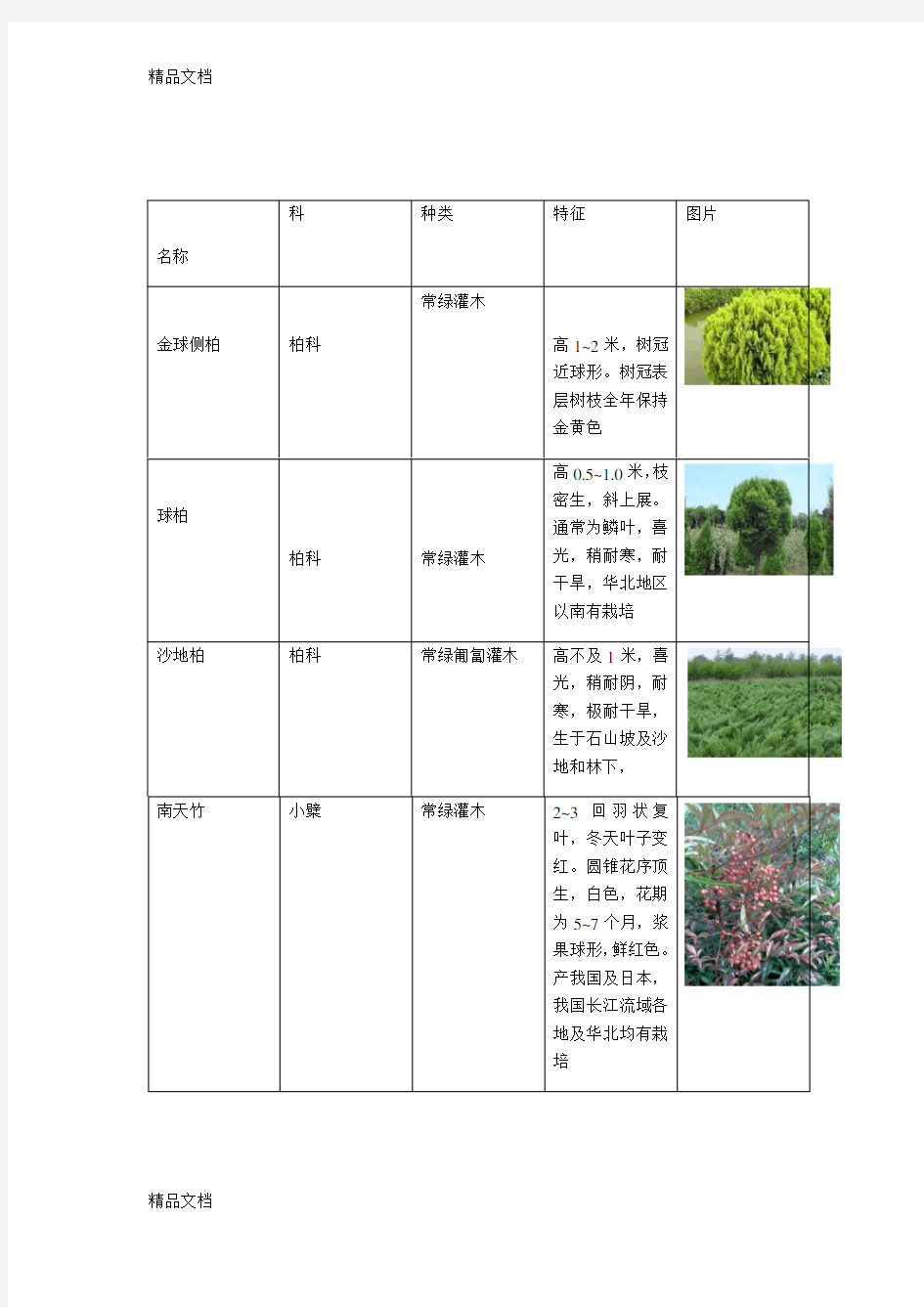 (整理)乔木、灌木、地被植物说明图表3.