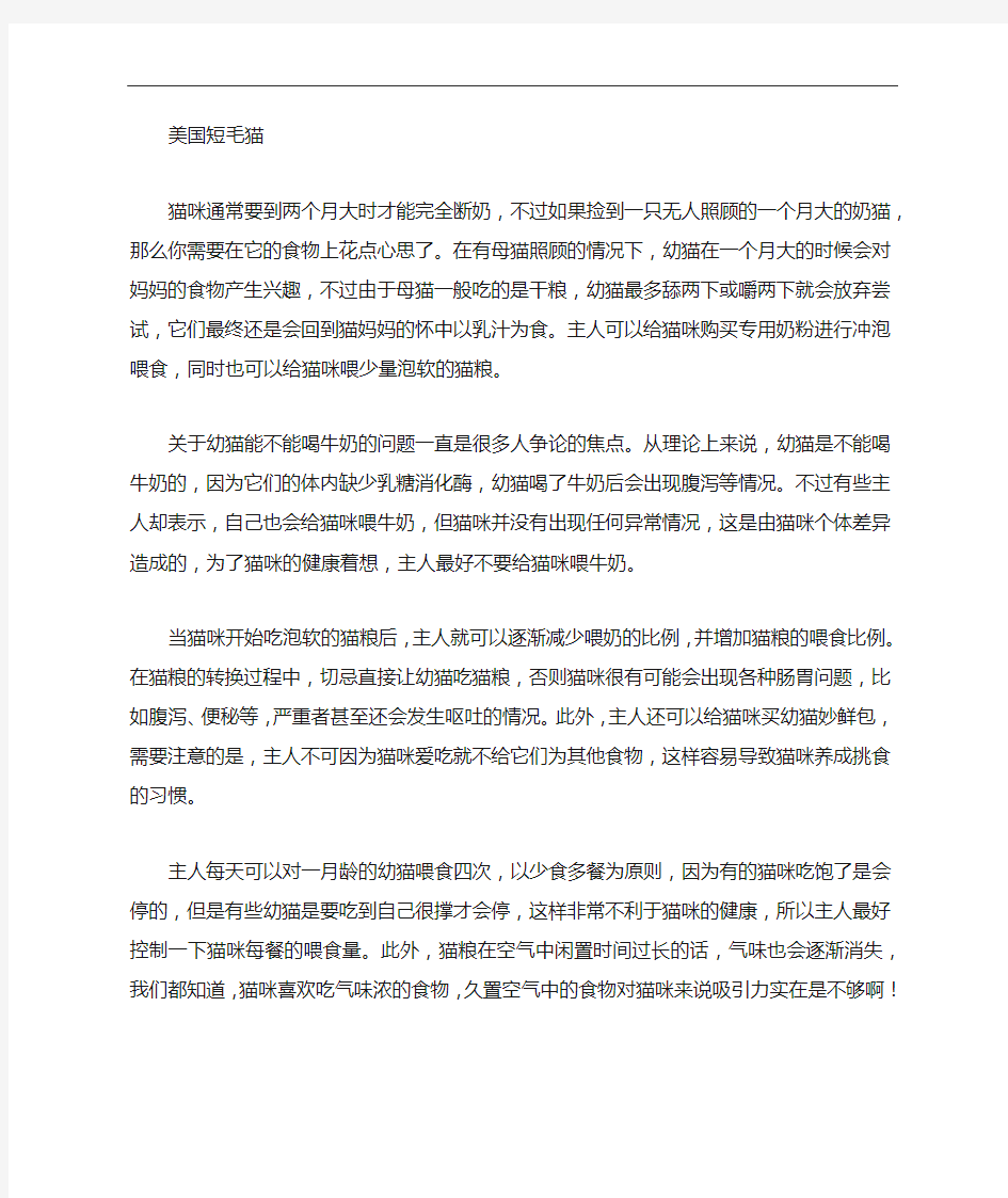 小奶猫喂养时需要注意什么,一月龄奶猫如何喂养