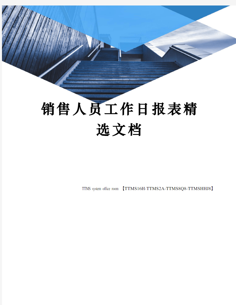 销售人员工作日报表精选文档