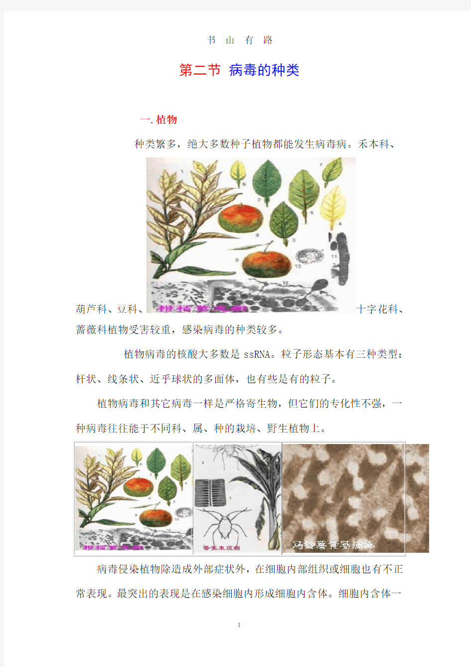 病毒的种类PDF.pdf