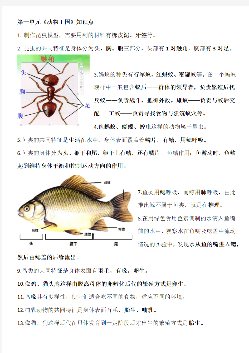 青岛版科学四年级上册知识点