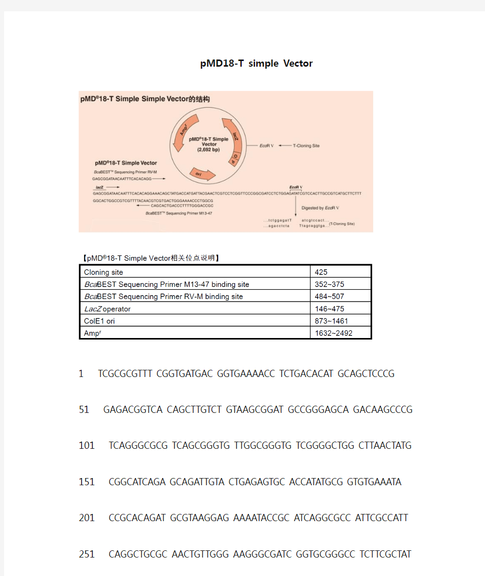pMD18-T simple vector图谱序列