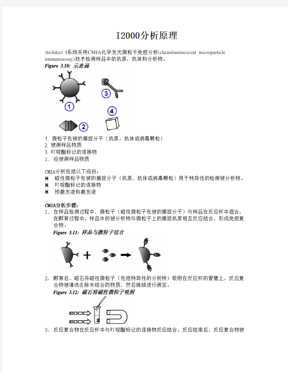 ARCHITECT i2000中文分析原理