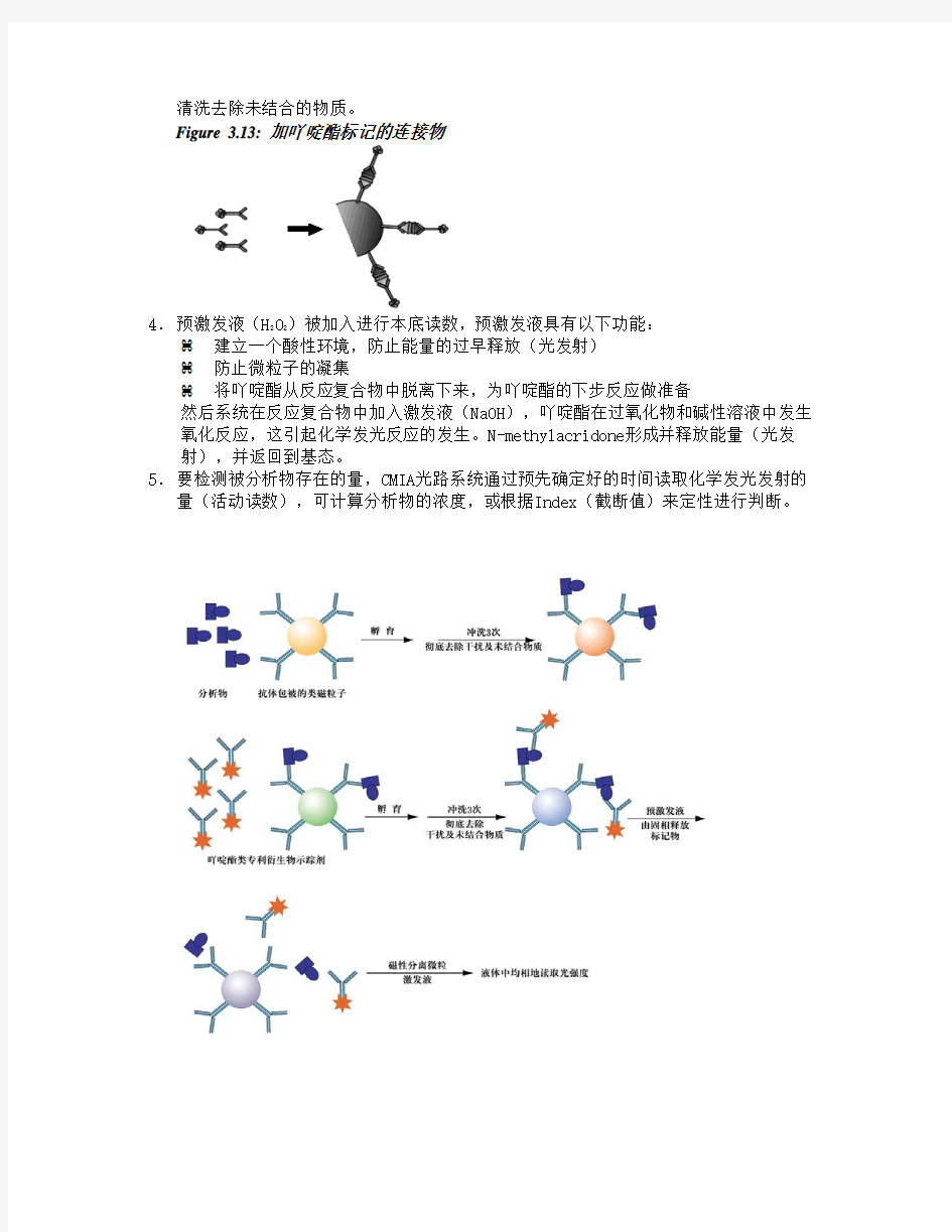 ARCHITECT i2000中文分析原理