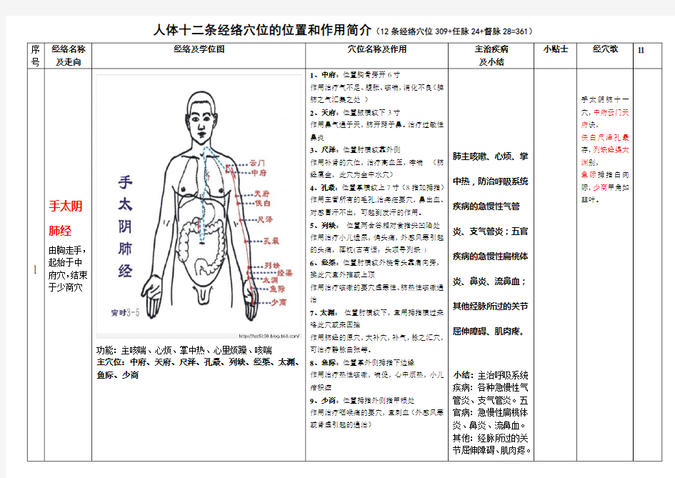 人体十二条经络奇经八脉