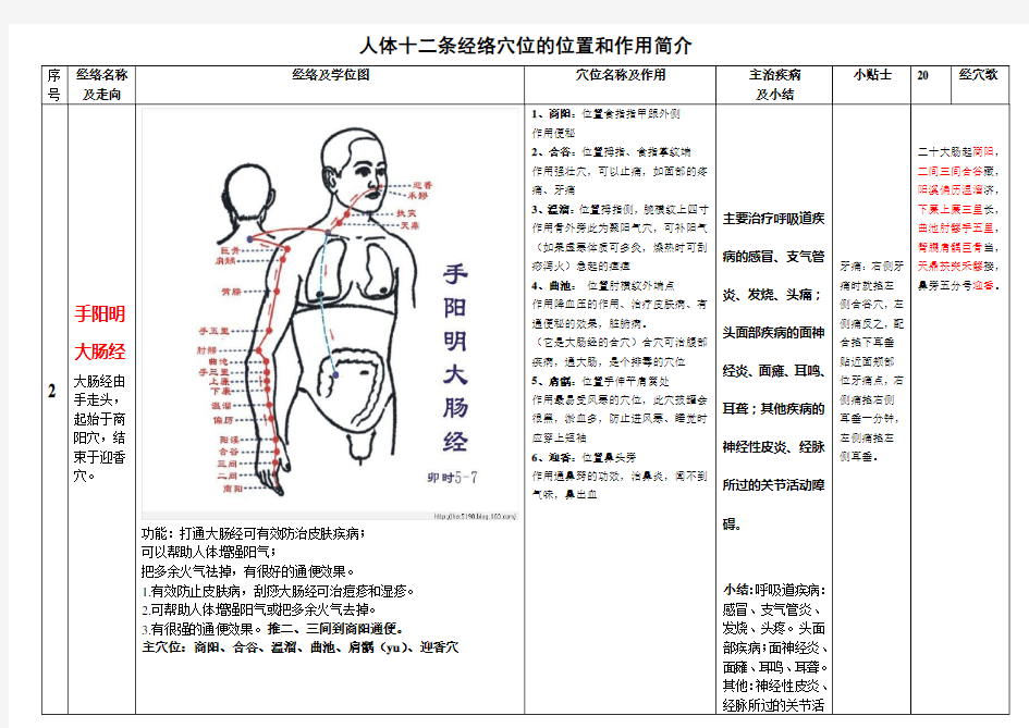 人体十二条经络奇经八脉