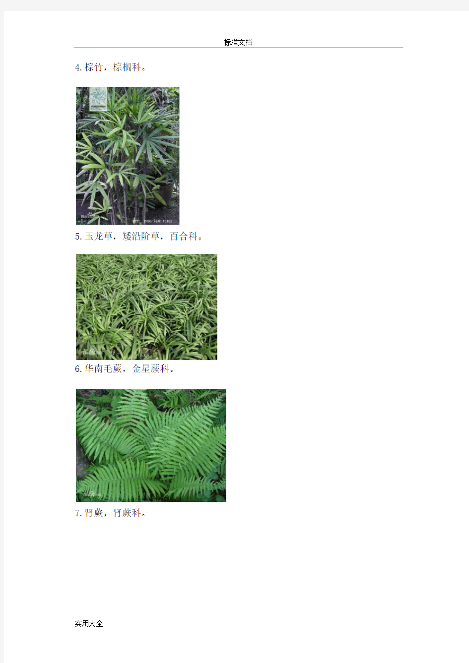 常见园林植物图片与名称(80种)