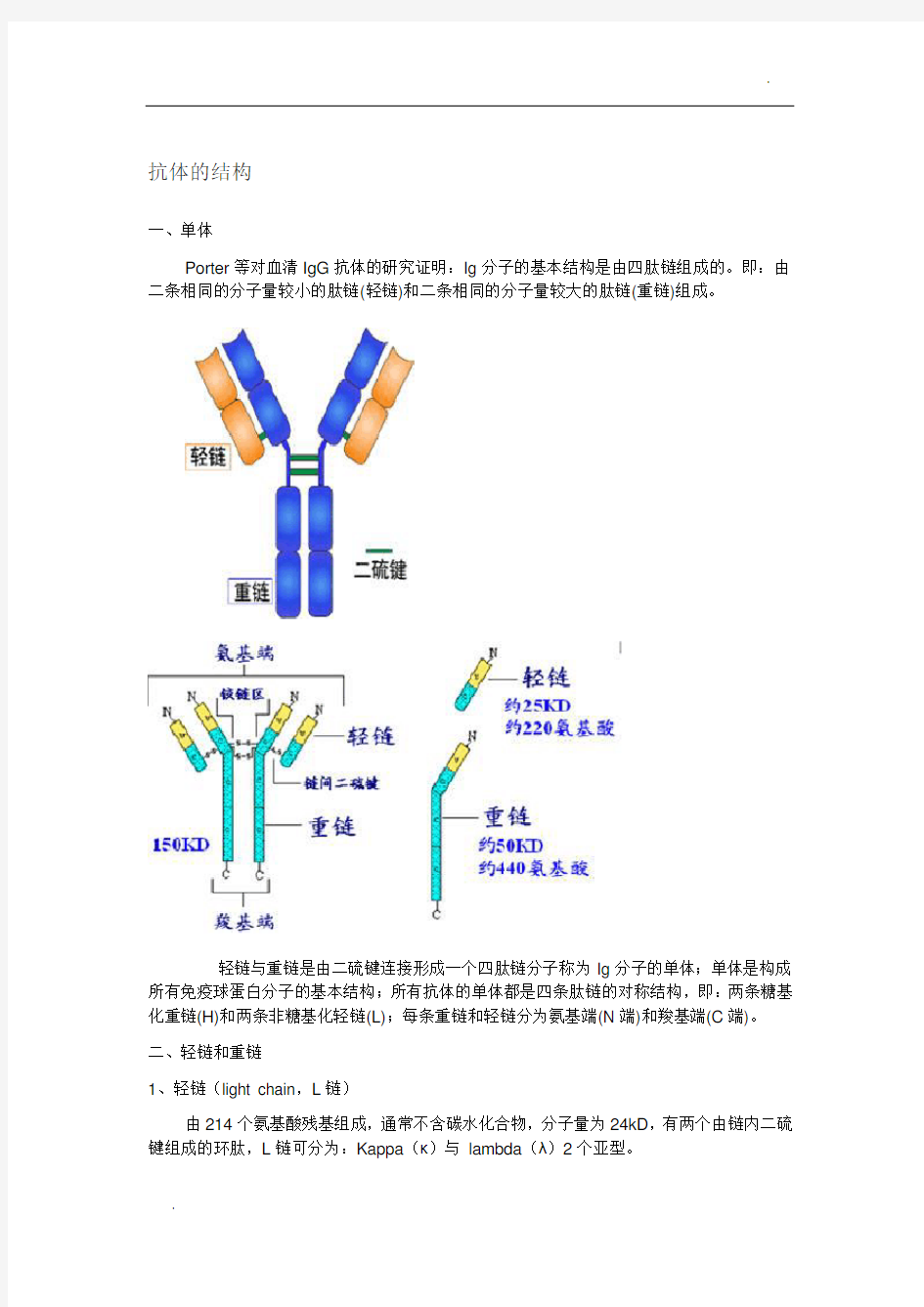免疫球蛋白结构