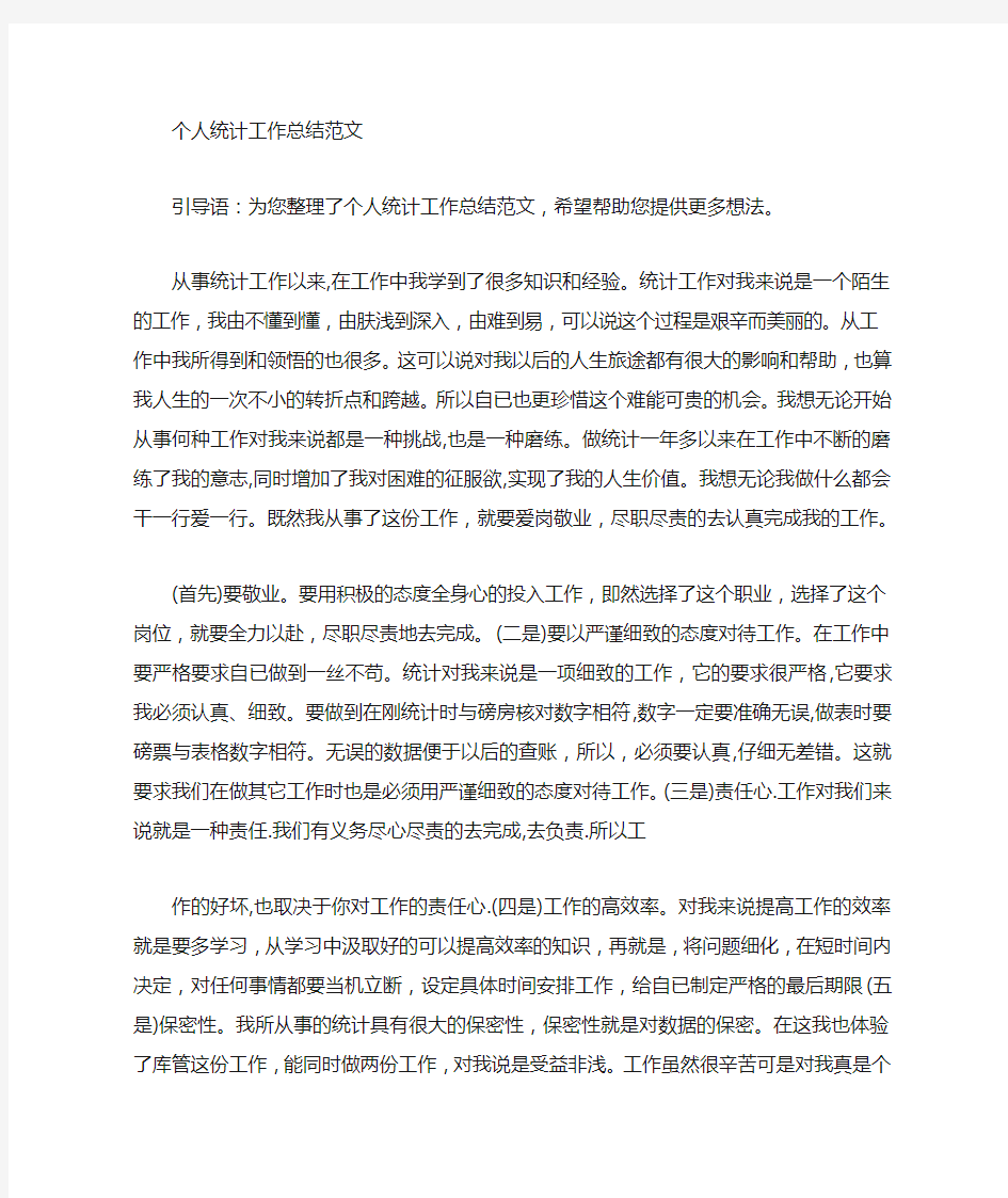 统计员个人工作总结范文