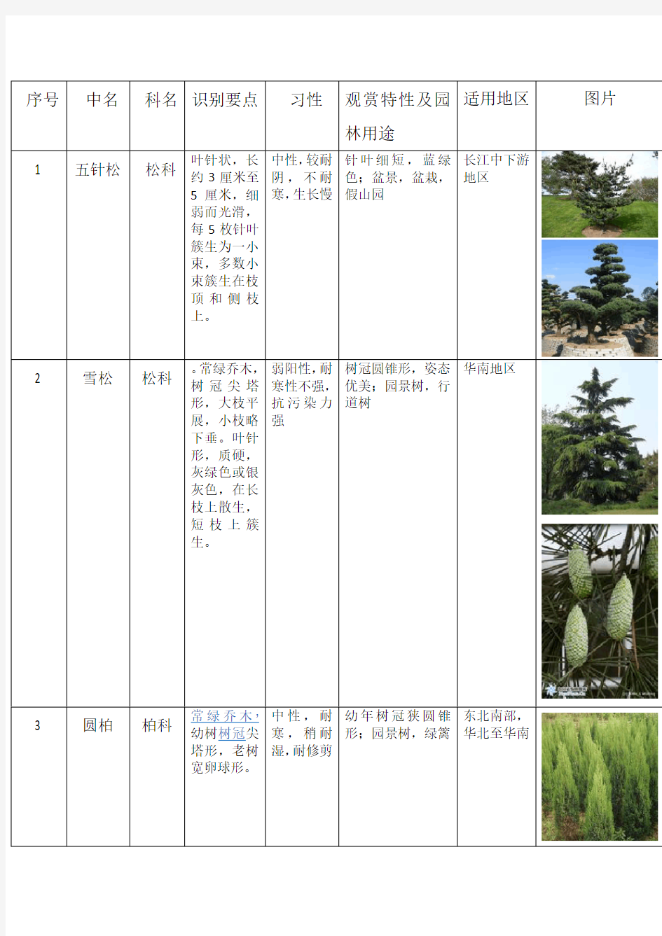 园林树木种类表