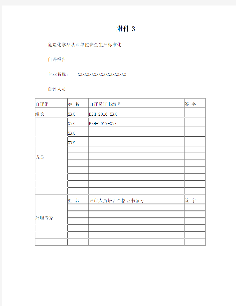 安全生产标准化年度自评报告