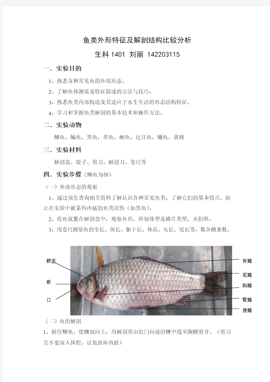 鱼类外形特征及解剖结构比较分析