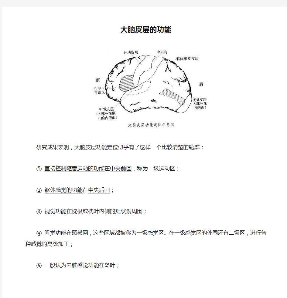 大脑皮层的功能