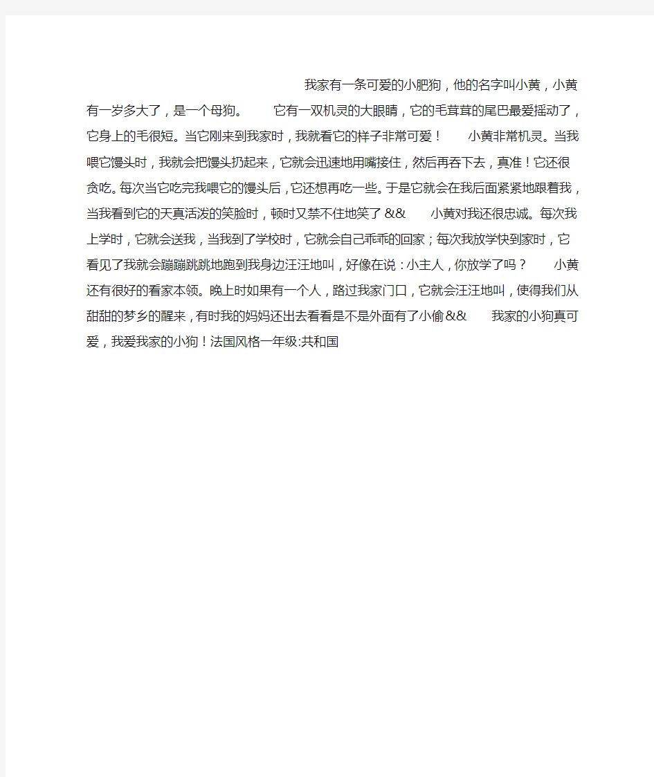 我家可爱的小狗作文400字