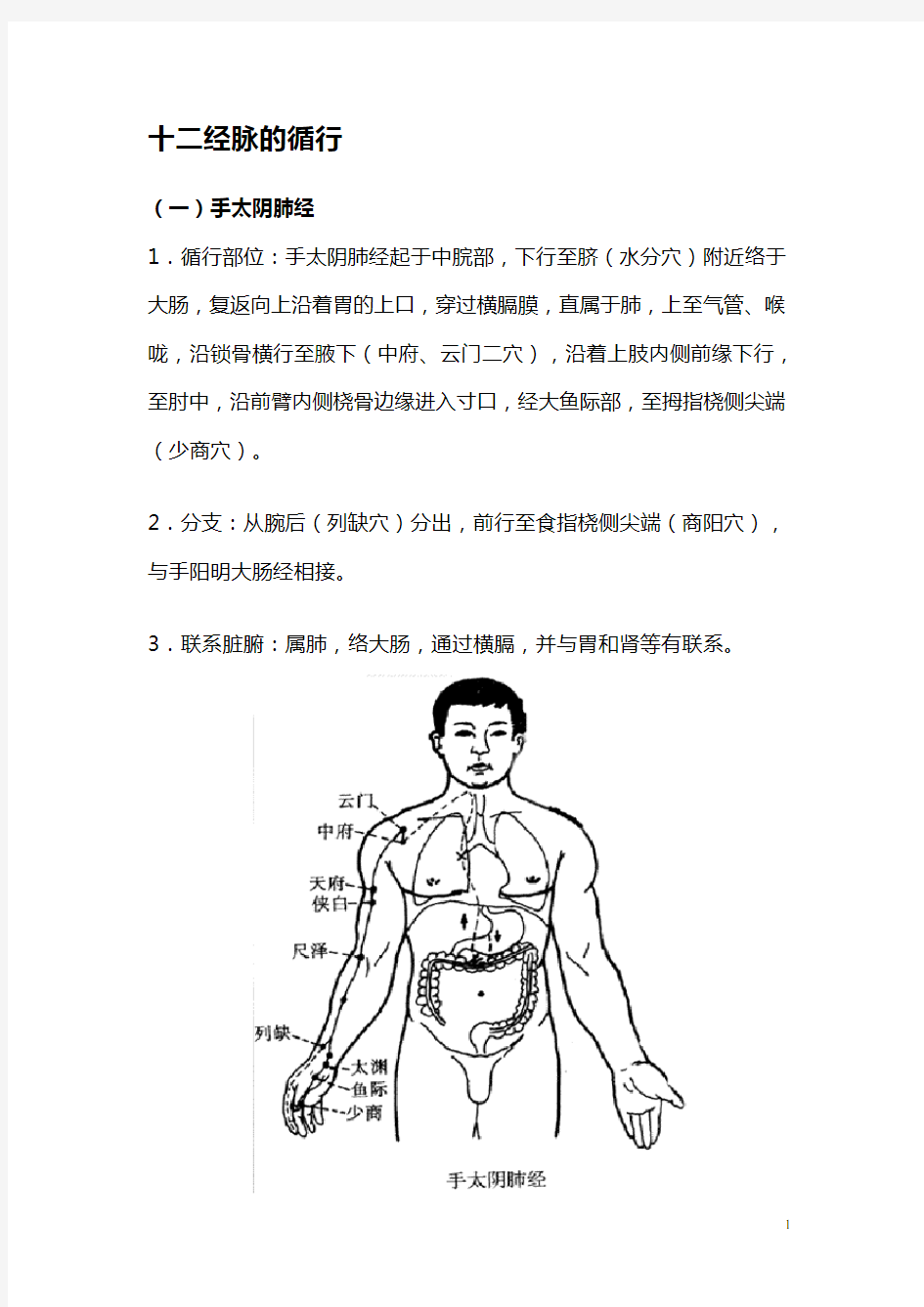 人体十二经脉 奇经八脉(组图)