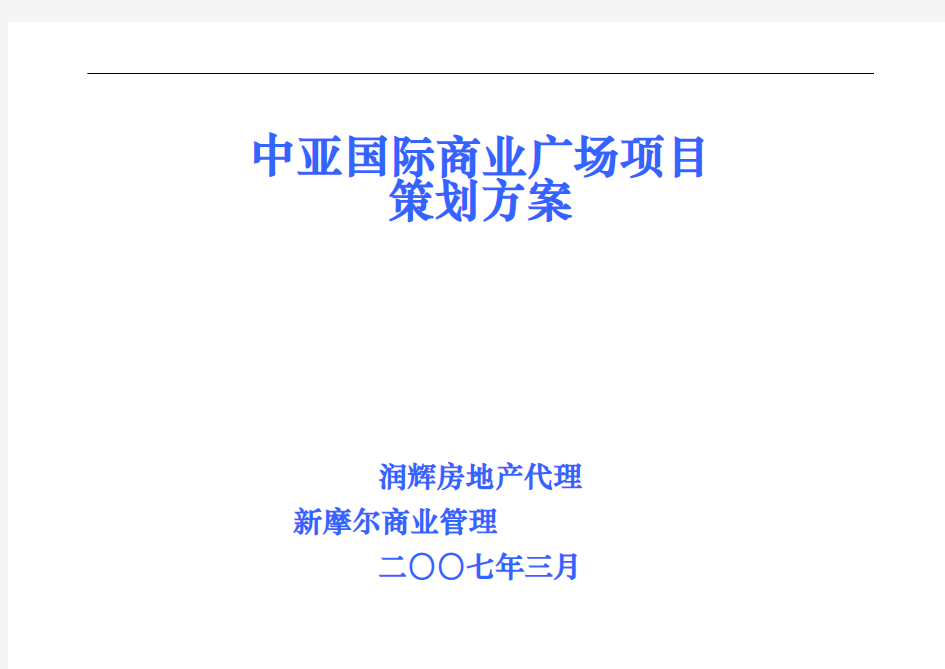 国际商业广场项目策划实施方案