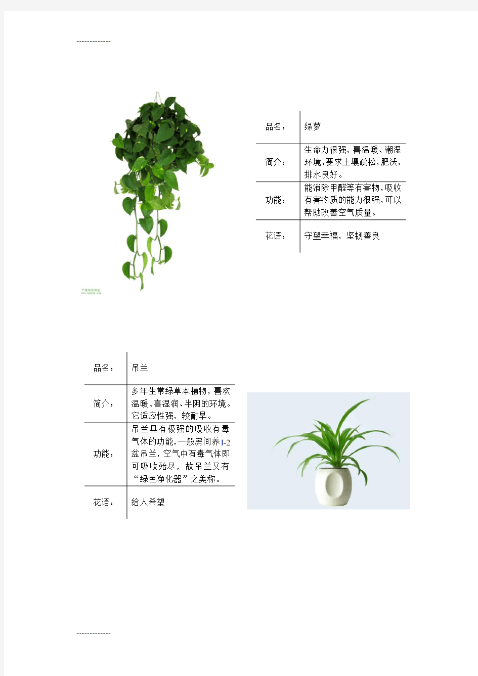 (整理)常见绿色植物图表