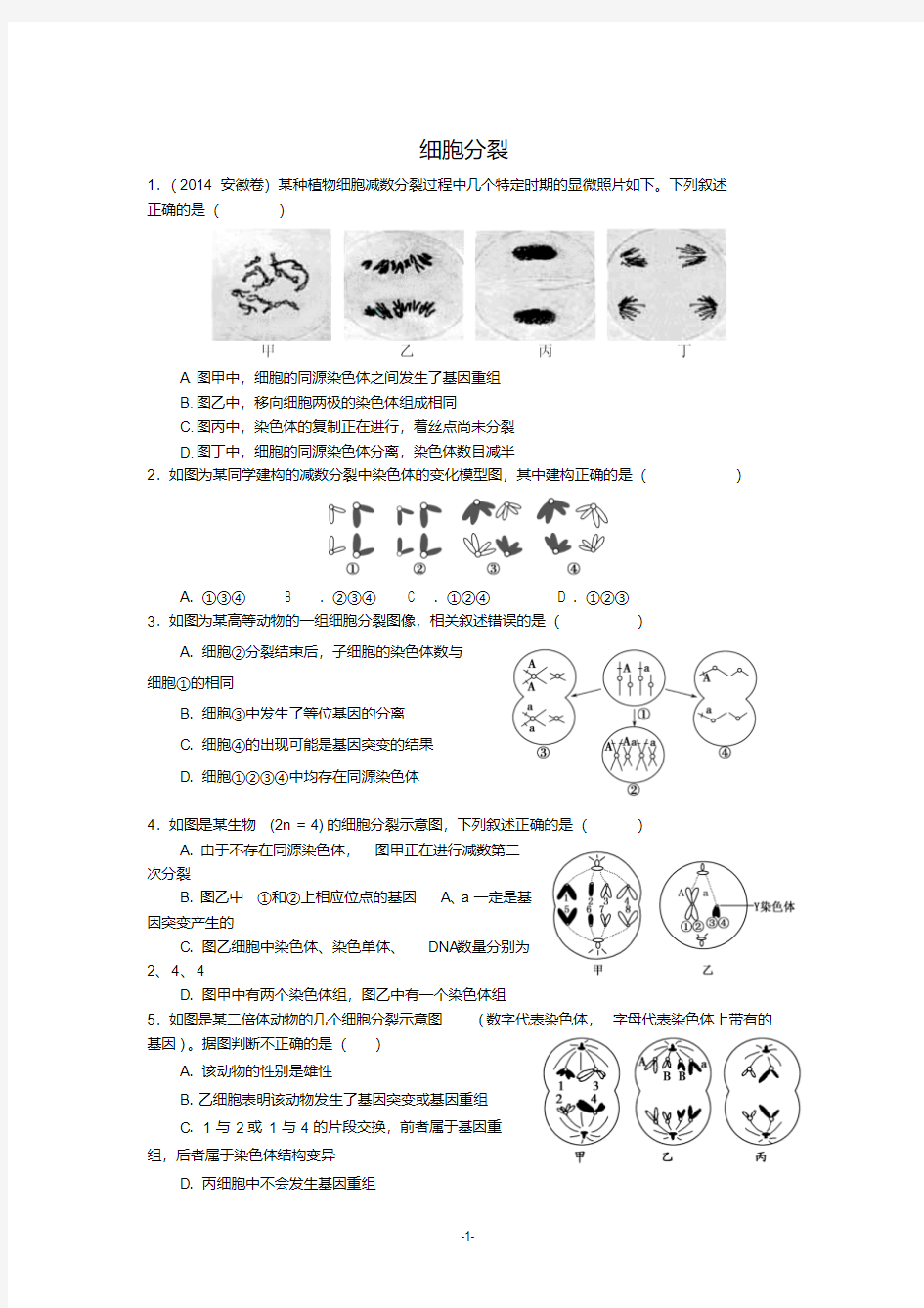 细胞分裂中的异常---习题培训资料