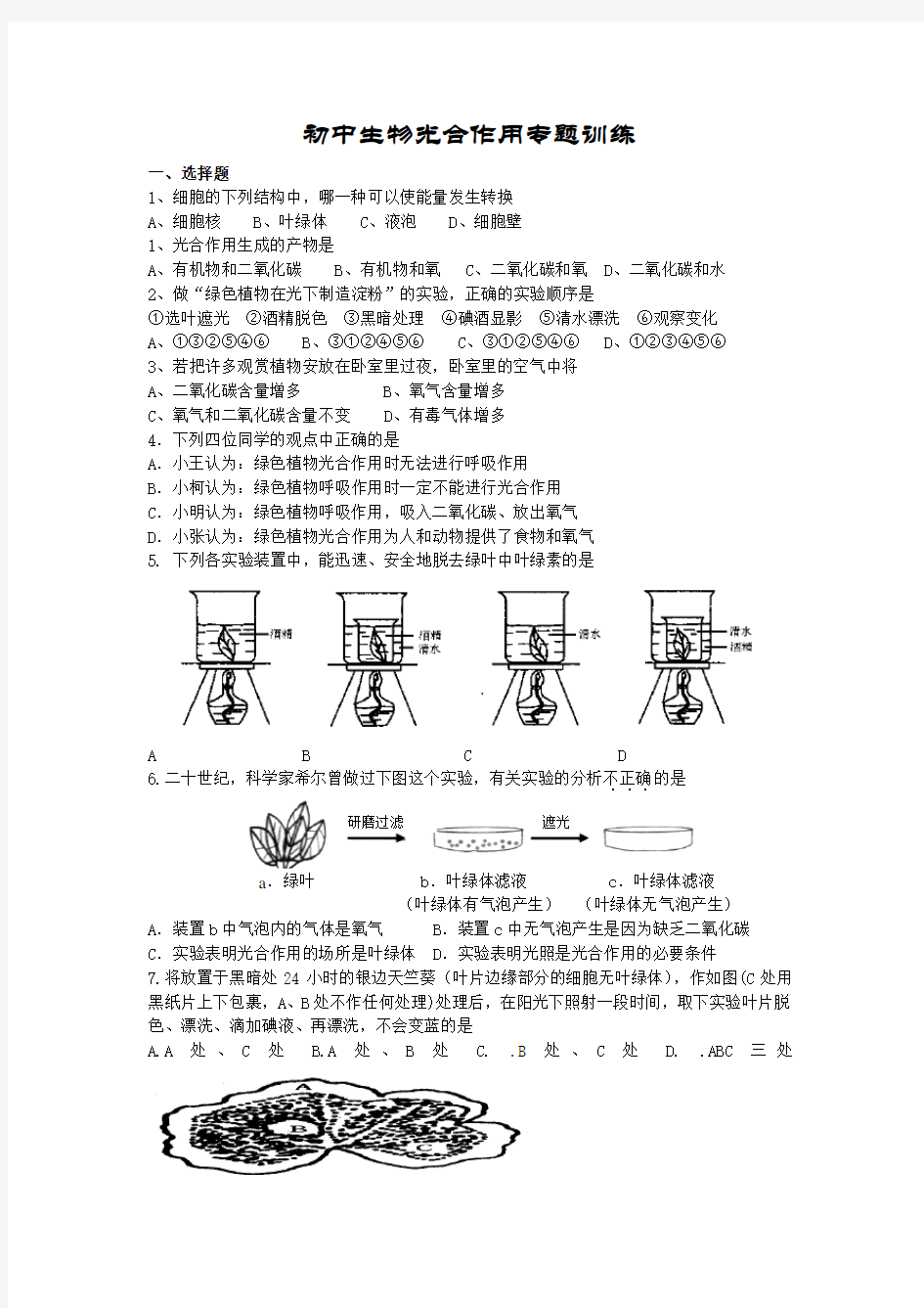 初中生物光合作用专题Word版