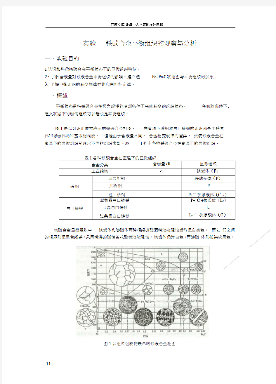 实验一铁碳合金平衡组织的观察与分析