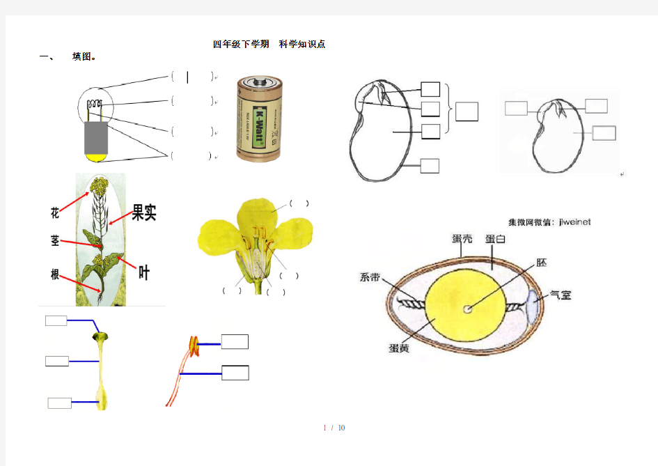 四年级下册科学知识点总结