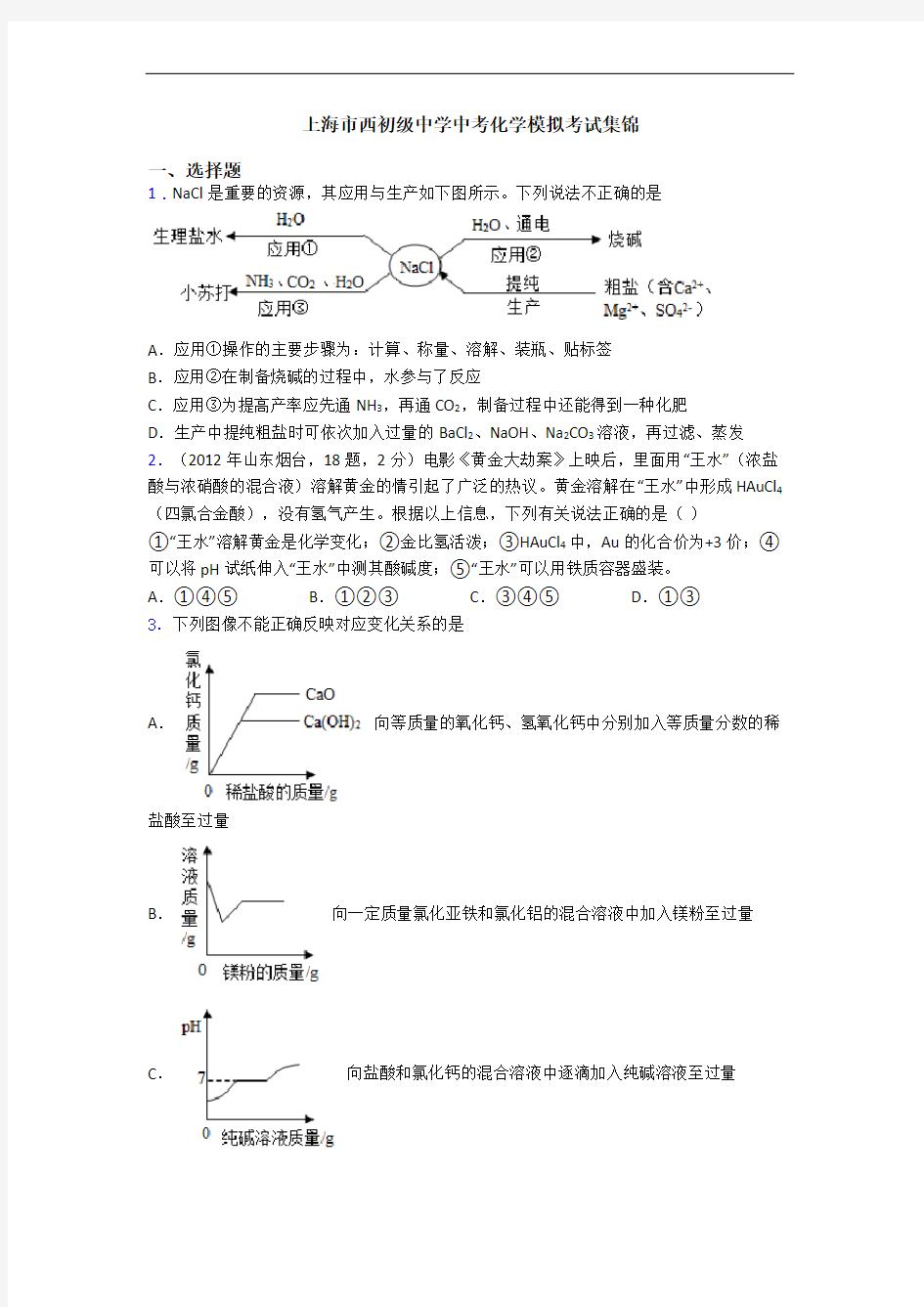 上海市西初级中学中考化学模拟考试集锦
