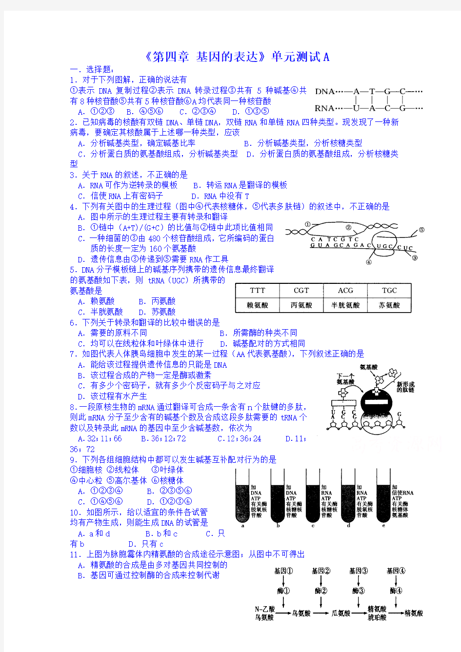 人教版生物必修二《第4章：基因的表达》单元测试(卷,含答案)