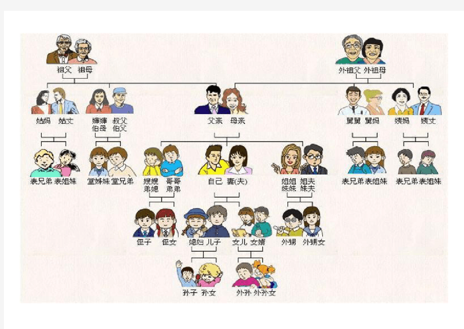 家庭成员称呼的关系图片