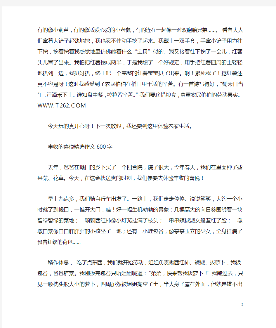 丰收的喜悦精选作文