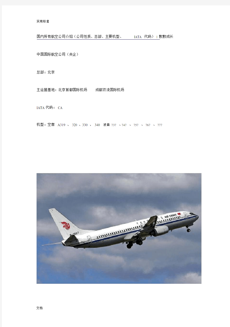 国内所有航空公司管理系统介绍.docx