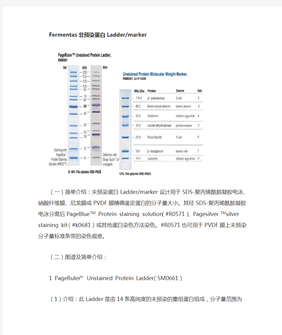 Fermentas非预染蛋白marker Ladder