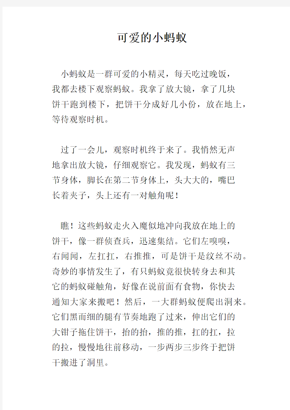 可爱的小蚂蚁